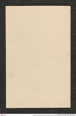 Nachlass Franz Steindachner, Brief von Alberto Perugia an Franz Steindachner (07.05.1881), Inv.Nr. 392.07, Seite 4